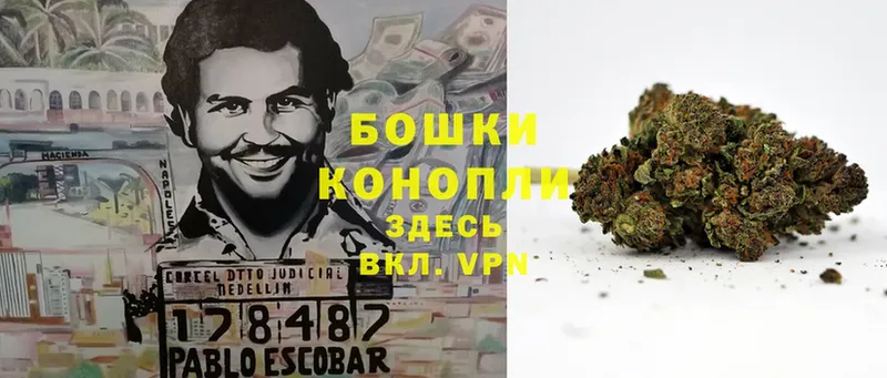 МАРИХУАНА THC 21%  Каневская 